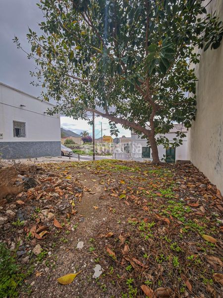 Foto adf964a9-142e-4bcc-8854-8b99b4ac9fa8. Finca rústica a Valle San Lorenzo Arona