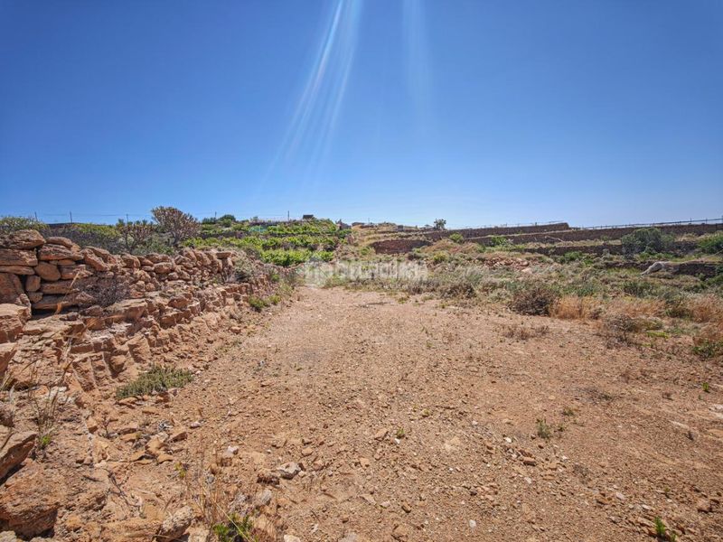 Foto 472742b4-7f26-4d5b-80d5-523b9c62070a. Finca rústica a Arona pueblo Arona