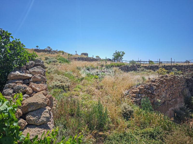 Foto 5d56df5b-c6b1-4304-8e39-94966028e035. Finca rústica a Arona pueblo Arona