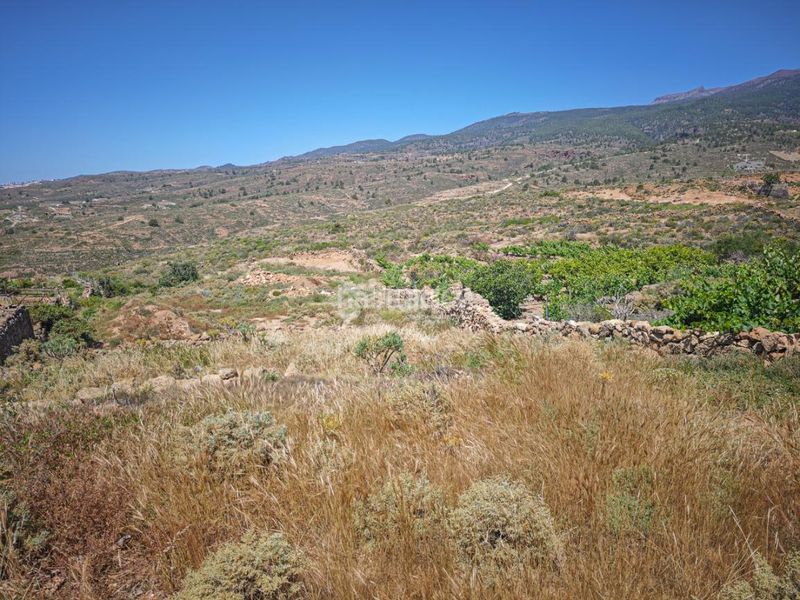 Foto 629d9ad5-8620-4b6b-8925-40922af6cc0a. Finca rústica a Arona pueblo Arona