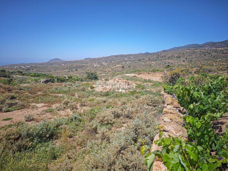 Foto b55b0457-72a5-4d2d-8a1e-731f4a386224. Finca rústica a Arona pueblo Arona