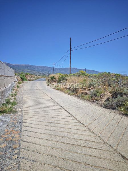 Foto e55aa867-6286-4291-ad4b-92809402531e. Finca rústica a Arona pueblo Arona