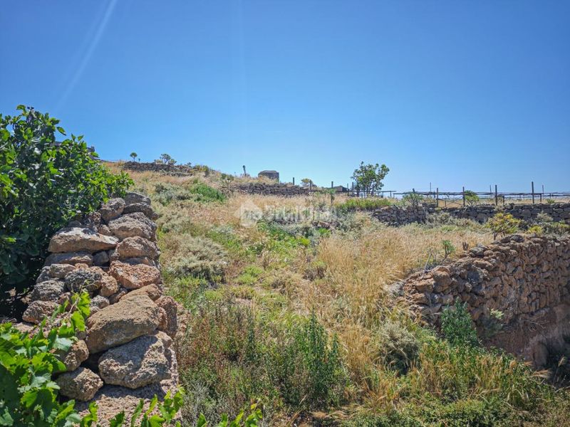 Foto f54df671-b35e-47ba-919b-8ce016eb7d5b. Finca rústica a Arona pueblo Arona