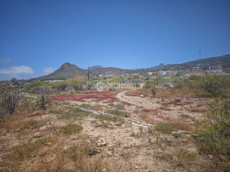 Foto c2ba93d2-e6a8-469a-8c2a-3fcd2ebe5c13. Finca rústica a Valle San Lorenzo Arona