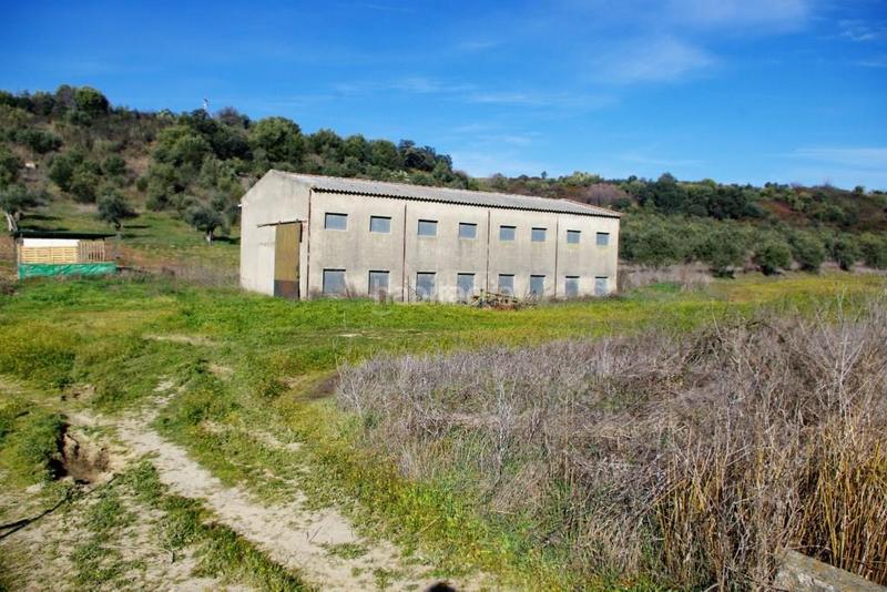 Foto 49377b0b-c0a5-45aa-ac7e-3d7348816b3c. Terreno residencial en Coria