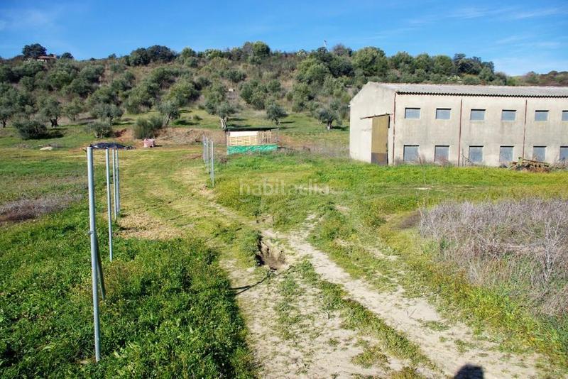 Foto 601a8e50-207a-414b-9134-9a67665688f0. Terreno residencial en Coria