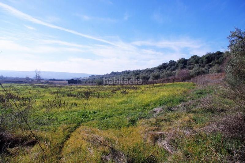 Foto 70610435-c2fa-4544-bb46-7b95a6fa78f4. Terreno residencial en Coria