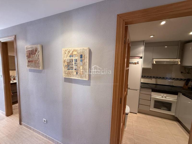 Foto 3e3d5168-950b-4a9a-813d-057bb9e52c38. Apartamento en jardin 33 apartamento frontal con terraza de 32m2 en Oropesa del Mar