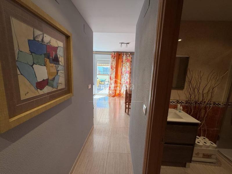 Foto 98a55de4-601e-4d3b-b83b-35b310f00911. Apartamento en jardin 33 apartamento frontal con terraza de 32m2 en Oropesa del Mar