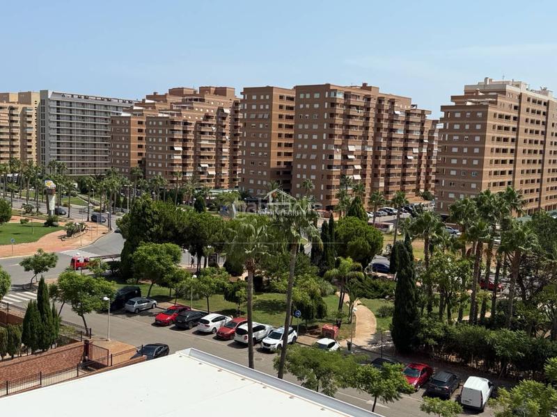 Foto f0d85773-4b86-49b7-9175-988922ea9b8b. Apartamento en jardin 33 apartamento frontal con terraza de 32m2 en Oropesa del Mar