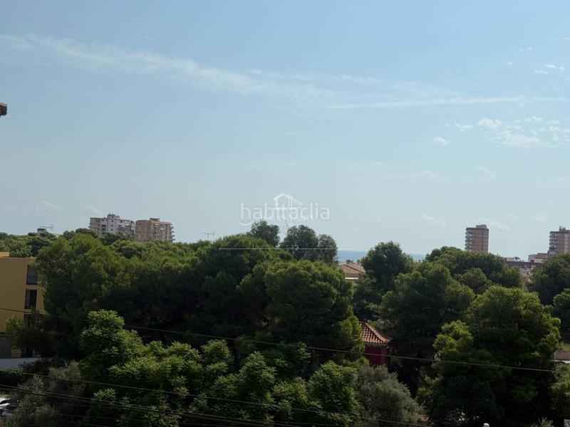 Foto b1a9e1f1-bf3f-432c-9e12-552e2da1abf6. Monolocale in doctor emilio cervera 10 in Centro Oropesa del Mar