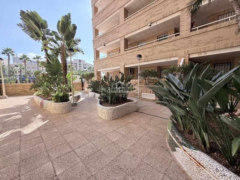 Foto 94e7a826-b621-44a3-8b1f-73450ebbb3cf. Apartament a avenida jardín 3 a Aguamarina Oropesa del Mar