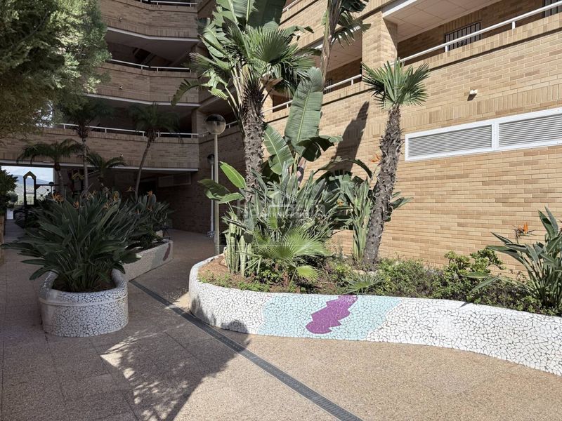 Foto b01d93bc-3689-44b0-b0d2-29042a05a790. Apartament a avenida jardín 3 a Aguamarina Oropesa del Mar