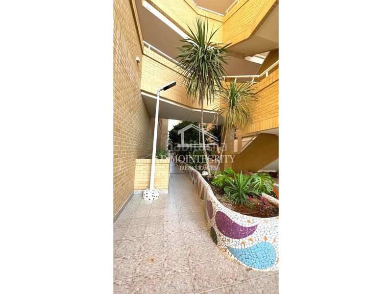 Foto 088f7194-6d44-4d47-b97f-30bcdd9c4fd0. Apartament a avenida central 14 a Marina Trebol - Neptuno Oropesa del Mar