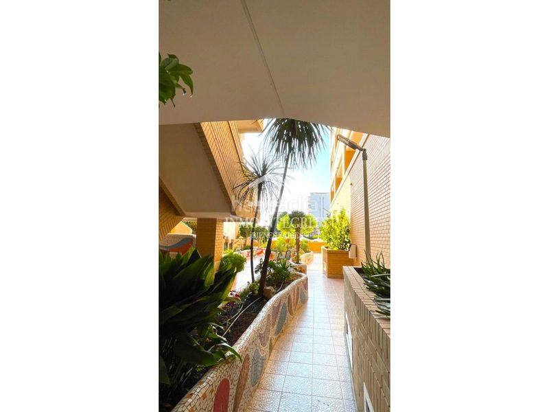 Foto 54904153-a576-46a9-8593-ecc6b22953fa. Apartament a avenida central 14 a Marina Trebol - Neptuno Oropesa del Mar