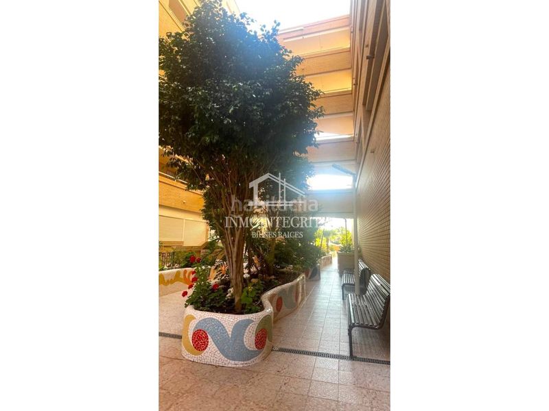 Foto 642ae1de-6e83-4393-9117-26c84cb6a449. Apartament a avenida central 14 a Marina Trebol - Neptuno Oropesa del Mar