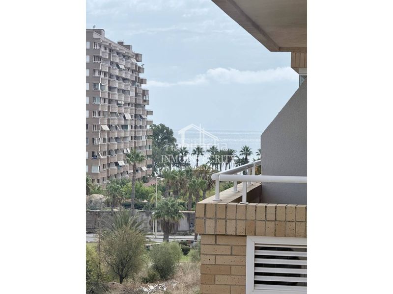 Foto 1a83477e-039d-41f9-950d-f7b24e518e9e. Apartament a avenida central 14 a Marina Trebol - Neptuno Oropesa del Mar