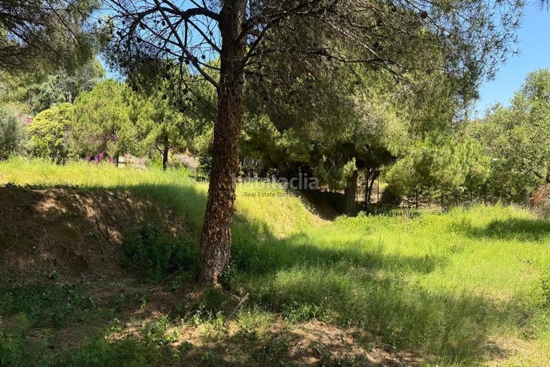 Foto 50afc1ba-0e2f-41b0-bab4-3d0040156f64. Finca rústica . parcela urbanizable con vistas en Cabrera de Mar