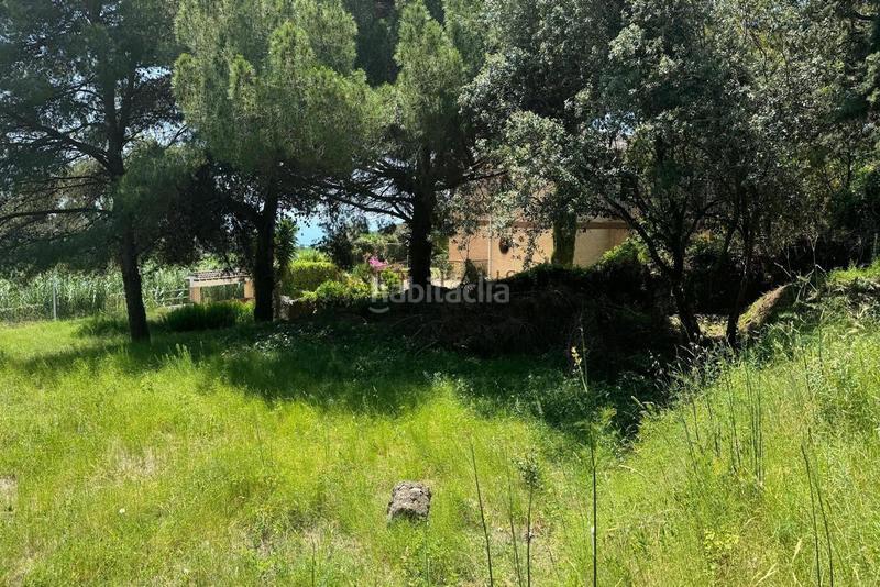 Foto 5bd7d92f-50b7-4be0-9869-948479ccbbda. Finca rústica . parcela urbanizable con vistas en Cabrera de Mar