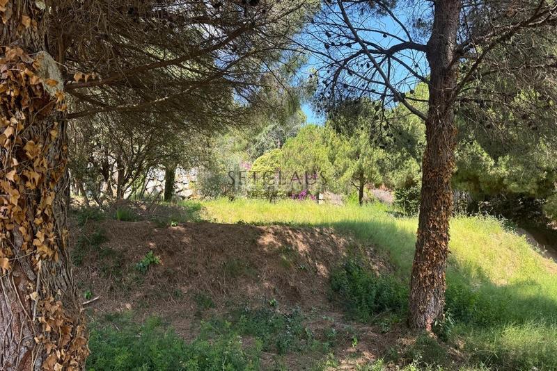 Foto 5f746586-5f26-4824-af27-a657072104ed. Finca rústica . parcela urbanizable con vistas en Cabrera de Mar