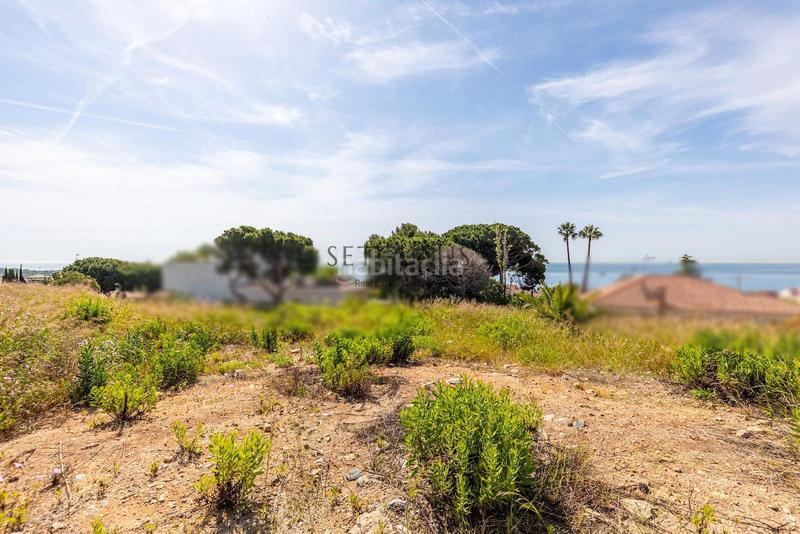 Foto 3dd02386-1439-486c-9932-ebea7608d556. Finca rústica a Califòrnia-Santa Madrona Masnou (El)