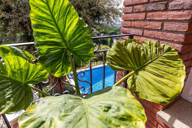 Foto db3bc605-7dc9-4358-9d42-f86ee562733b. Chalet con riscaldamento parcheggio piscina in Alella