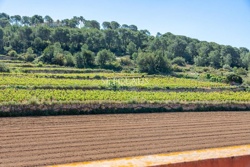 Foto aeed83f4-9656-4aab-a606-e455e85386b6. Casa amb calefacció a Mas Alba Sant Pere de Ribes