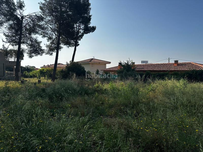 Foto 46c2641d-e6ec-4473-aa8f-3b0e922ab659. Terreny residencial a Bruc (El)