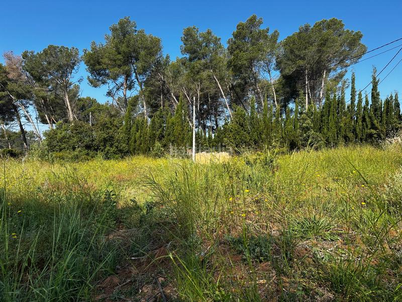 Foto ce82cd32-41c8-48f0-831c-3f9a96cc01d7. Terreny residencial a Bruc (El)