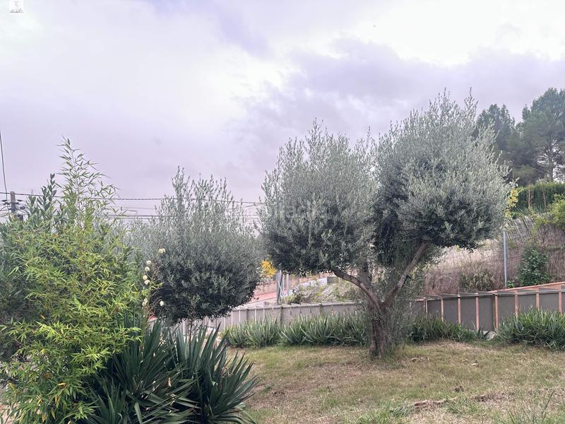 Foto 37137beb-5b89-4fed-93bb-d64979673747. Chalet avec chauffage parking piscine dans Abrera