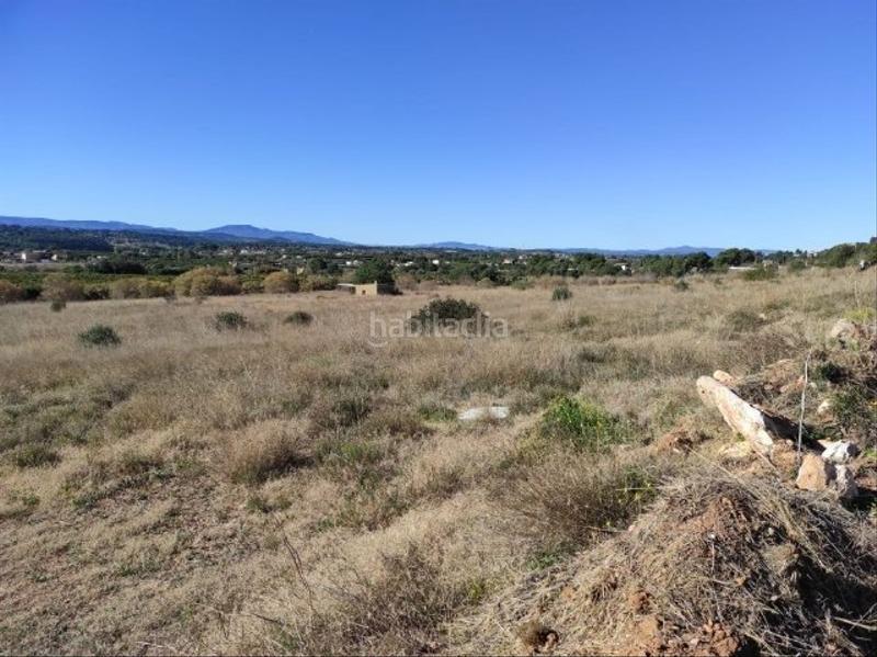 Foto 63779ca9-97ac-449e-94ee-929a609e1ad6. Terreno residencial parcela rústica en Cumbres de Calicanto Torrent