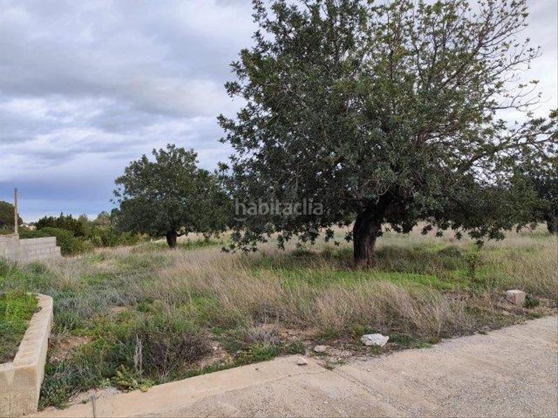 Foto 0d86f10d-4df2-48d8-a61f-a20c8c30f65a. Masia a Cheste