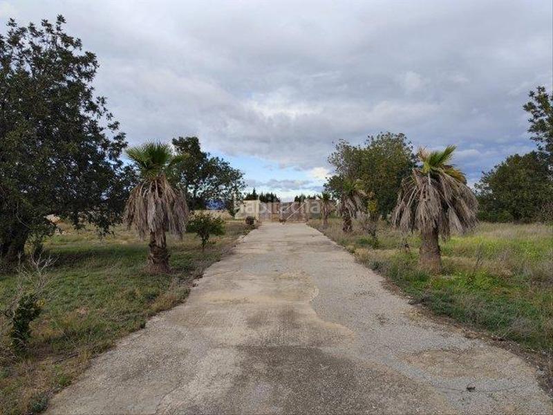 Foto 11ed8246-2448-4738-8665-92ef447e2137. Masia a Cheste