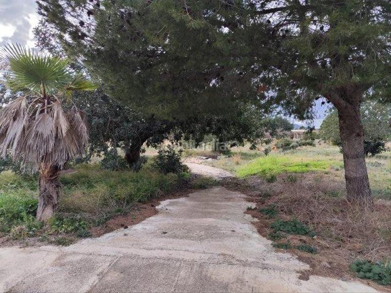 Foto 3193456f-9801-4d09-90c2-2d804a7fea6a. Masia a Cheste