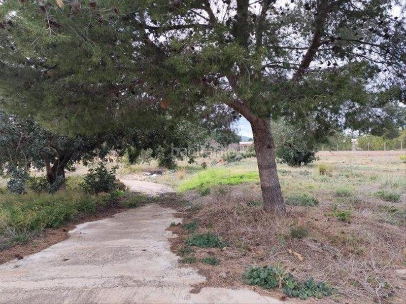 Foto 46e444b2-3224-4879-9b4e-dc32f849ebdc. Masia a Cheste