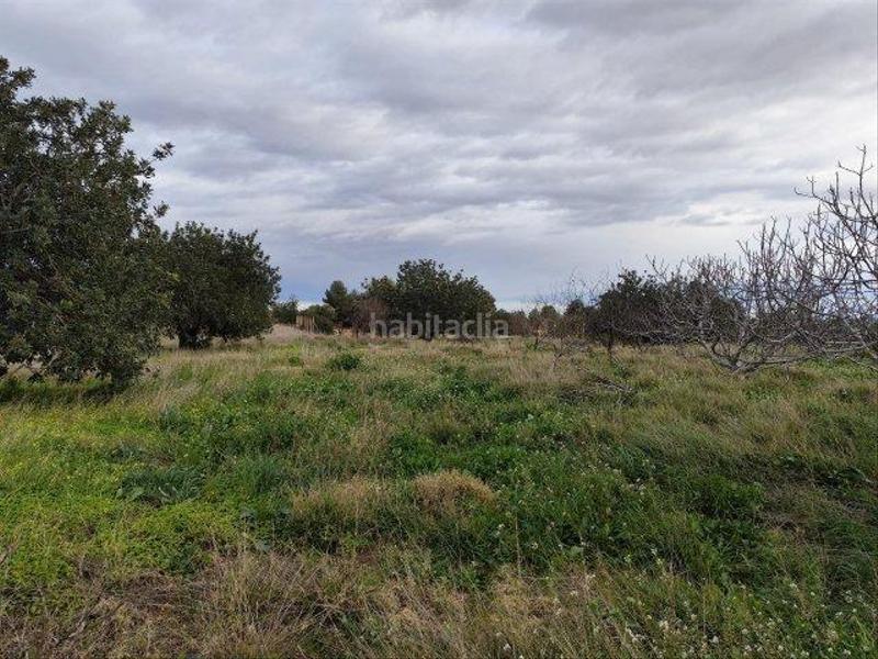 Foto 576e8d21-4e59-45fa-b7f8-6625994ac598. Masia a Cheste