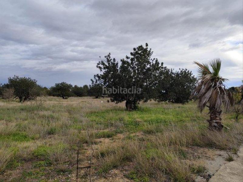 Foto 6441450c-1fe1-4be1-8de3-9a87d7beb5a0. Masia a Cheste