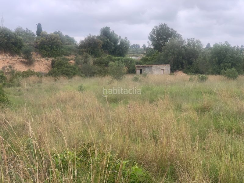 Foto 243f1016-a8fb-4e61-a559-14ab2da5ee5d. Finca rústica a Picassent