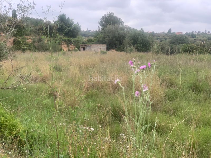 Foto 54ca1648-4b85-4590-8de9-2df459c90c34. Finca rústica a Picassent