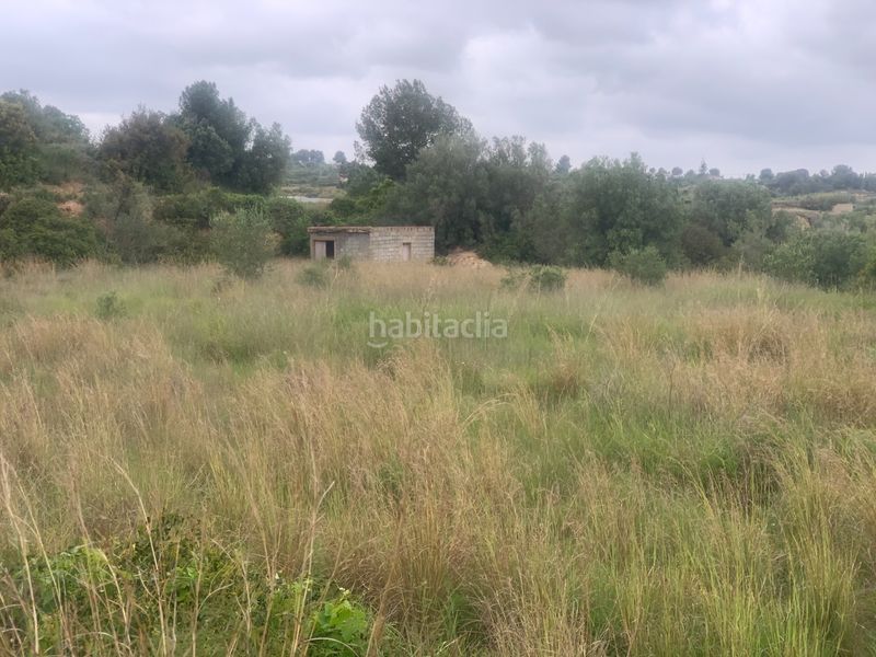 Foto aabfe859-c566-44ea-ab68-625d2c80c8c1. Finca rústica a Picassent