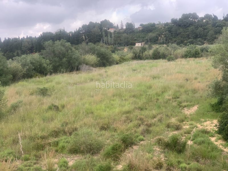 Foto e1f379d4-20ba-4617-9c6d-72e136556fd2. Finca rústica a Picassent