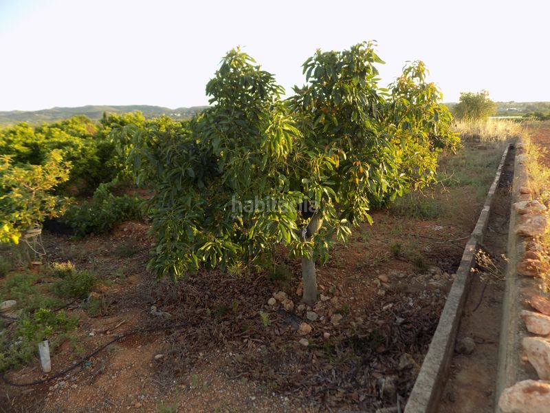 Foto 42b761a8-26aa-42ab-bc37-d4a17857c922. Finca rústica a Picassent