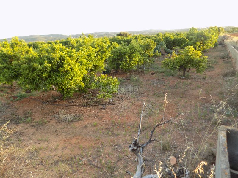 Foto e04cb789-46f1-4a6b-9ae1-ffd84c9d5218. Finca rústica a Picassent