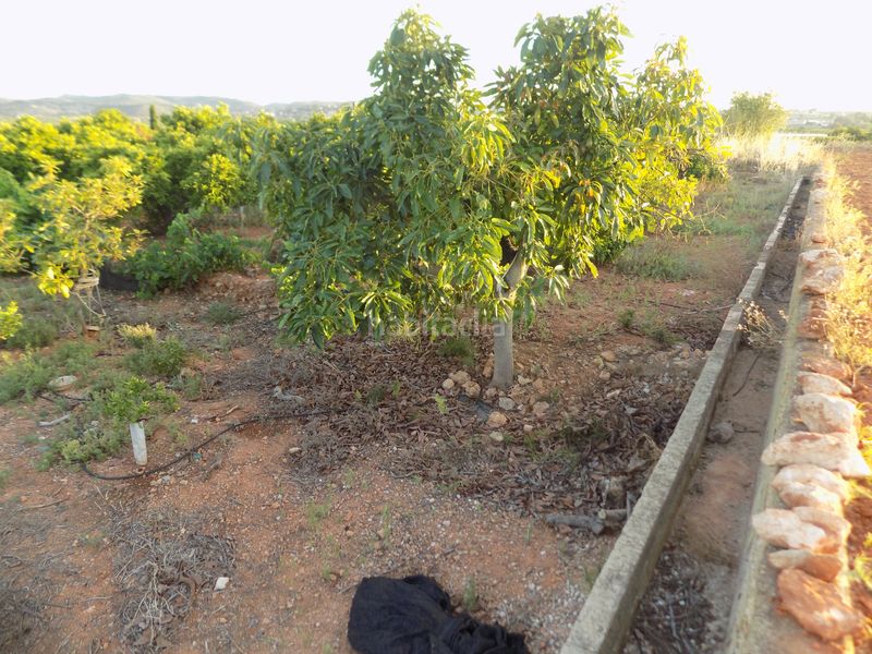 Foto f5220cb8-fc1d-4ea7-bfb3-a8769f5379b0. Finca rústica a Picassent