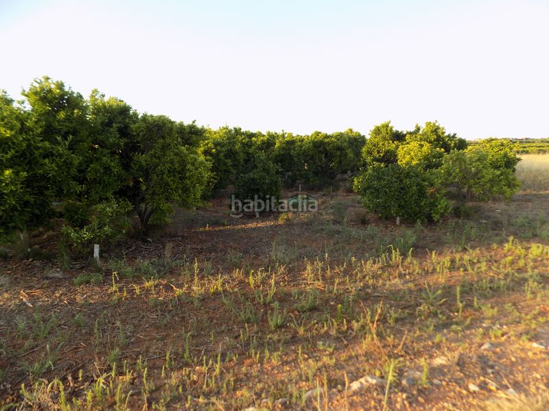 Foto faea4077-b4d6-4a8e-a042-4be99ed951b7. Finca rústica a Picassent