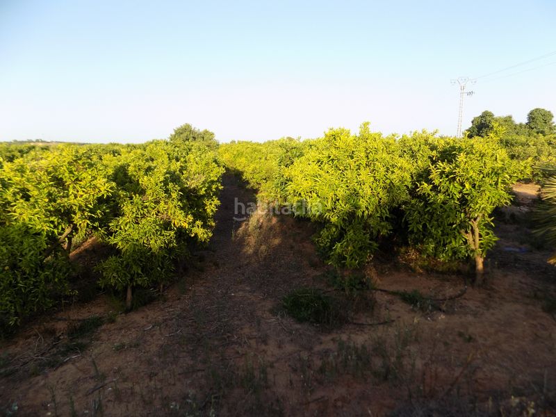 Foto 06d49b97-e8a6-4e86-8e1b-460741b9f7f1. Finca rústica a n/a a Picassent