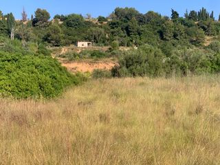 Rural plot  Urbanització el pinar 80. Terreno rústico en paraje natural a tan solo 8 km de picassent