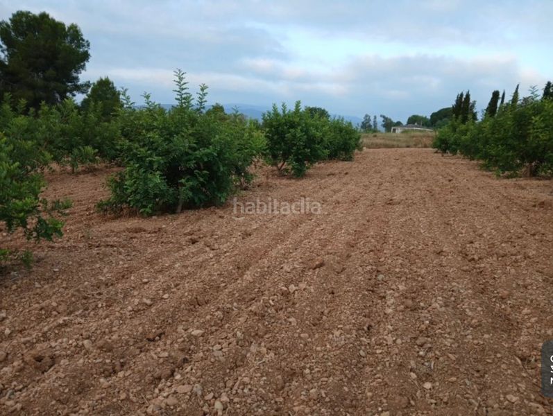 Foto 4ea444c1-ec57-4a1b-8808-0e8fdd7f3652. Finca rústica a llano de la paridera 576 a Real de Montroi