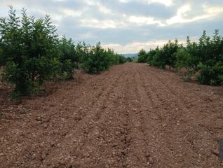 Finca rústica a Llano de la paridera 576