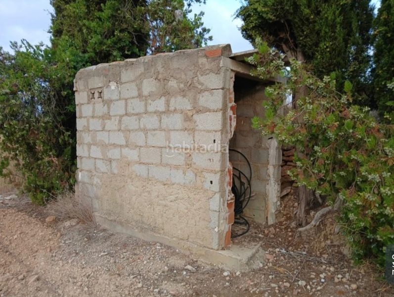 Foto aee37c54-7cb9-467c-bc7a-4cb9da1626e2. Finca rústica a llano de la paridera 576 a Real de Montroi